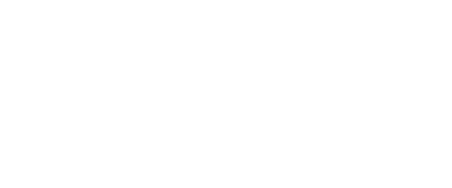 Logotipo da empresa Stefanello de Oliveira